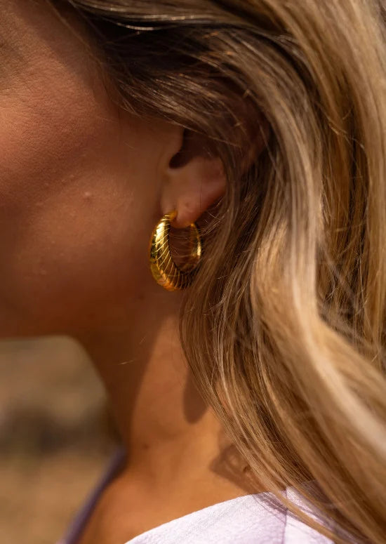 Elonie earrings - Golden