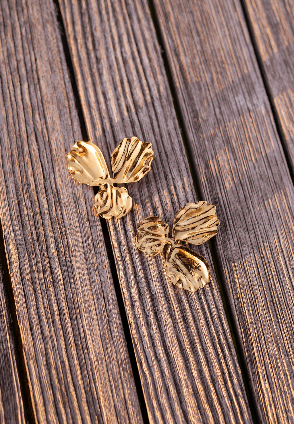 Dory earrings - Golden
